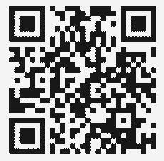Bizum qr-code